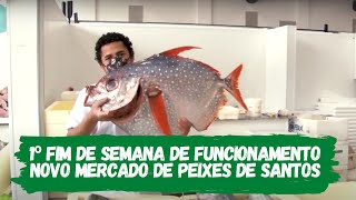 Novo Mercado de Peixes de Santos - Veja como foi o primeiro fim de semana de funcionamento