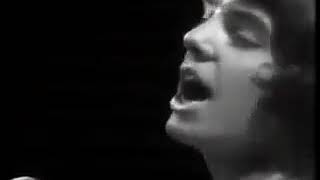 The Herd 1967   From The Underworld