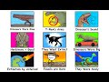 Every Dinosaur Myth Debunked In 11 Minutes