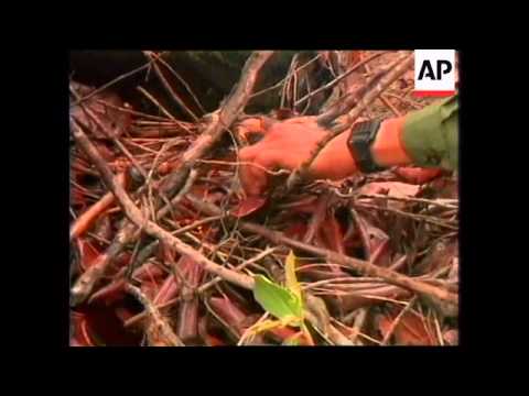 download lagu mp3 mp4 Pol Pot Grave, download lagu Pol Pot Grave gratis, unduh video klip Download Pol Pot Grave Mp3 dan Mp4 Full Gratis