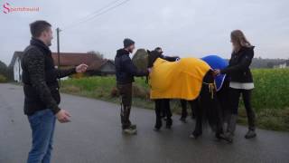 Dein Sportsfreund - dein Hingucker