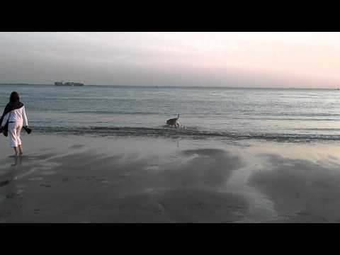 Spike in zee 2 1sept 2011