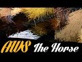 A Wilhelm Scream - The Horse (bass play along ...