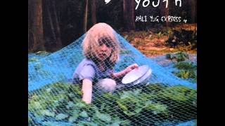 Sonic Youth - Le Paysage Zim Zum
