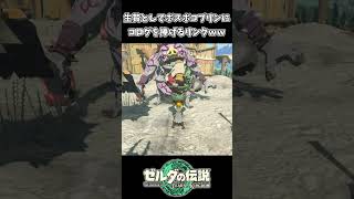 生贄にコログを差し出すリンクｗｗ【ゼルダの伝説 ティアーズ オブ ザ キングダム】