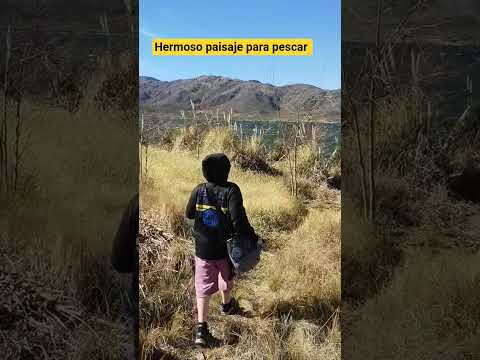 Mira que paisaje hermoso #pesca #fishing #argentina #turismo #shorts #viral