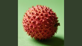 Download lagu Agung Hutan Rapuh Sinar mp3