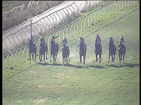 Galoppo 15/02/2019 - 6ª corsa