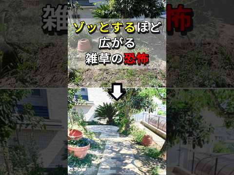 刈った草を木の根元に置く必要がある理由は次のとおりです。  庭園