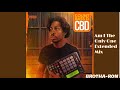 Count Bass D - Am I The Only One Extended Mix