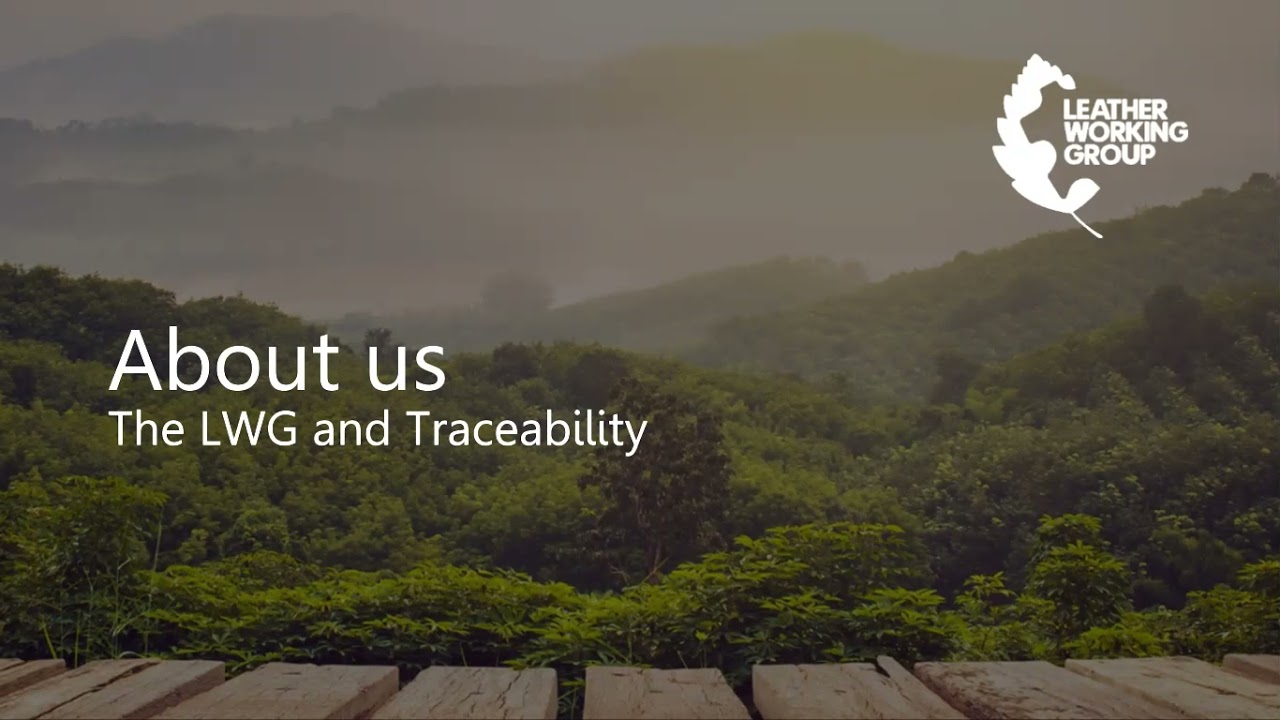 Webinar Traceability Expectations of Sustainability Standards in the Leather Supply Chain 5-20-21
