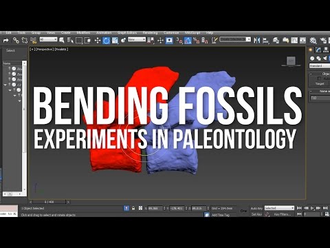download lagu mp3 mp4 Paleontology Grants, download lagu Paleontology Grants gratis, unduh video klip Paleontology Grants