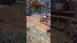 Download lagu Kerja balak. Tarik kayu ikut tata cara mp3 Download lagu Kerja balak. Tarik kayu ikut tata cara mp3