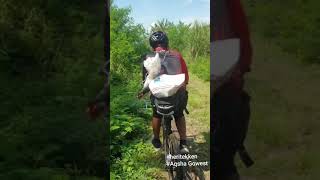 Download lagu GOWES ANGEL TEMEN TUTURANMU mp3 Download lagu GOWES ANGEL TEMEN TUTURANMU mp3