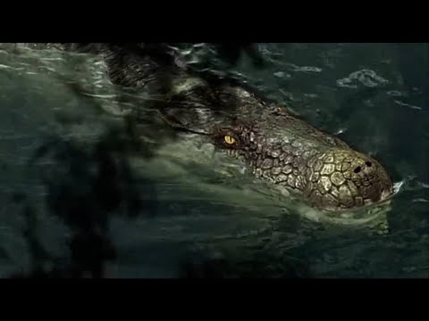 Titanoboa: Monster Snake [2012] - Anthracosuchus Screen Time