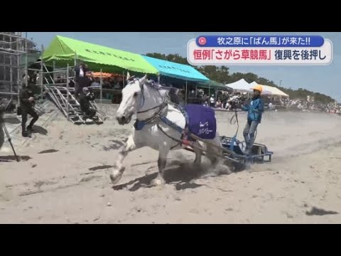 YouTube Video ばん馬「ハクウンリュー号」の雄大な走りで竜巻被害から復興へ～さがら草競馬　静岡・牧之原市