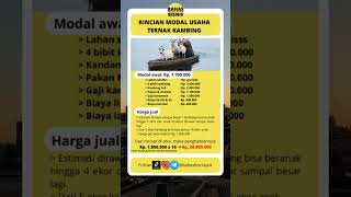 Download lagu Rincian modal usaha ternak kambing mp3 Download lagu Rincian modal usaha ternak kambing mp3