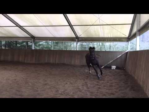 Floriscount x Roadster 2012