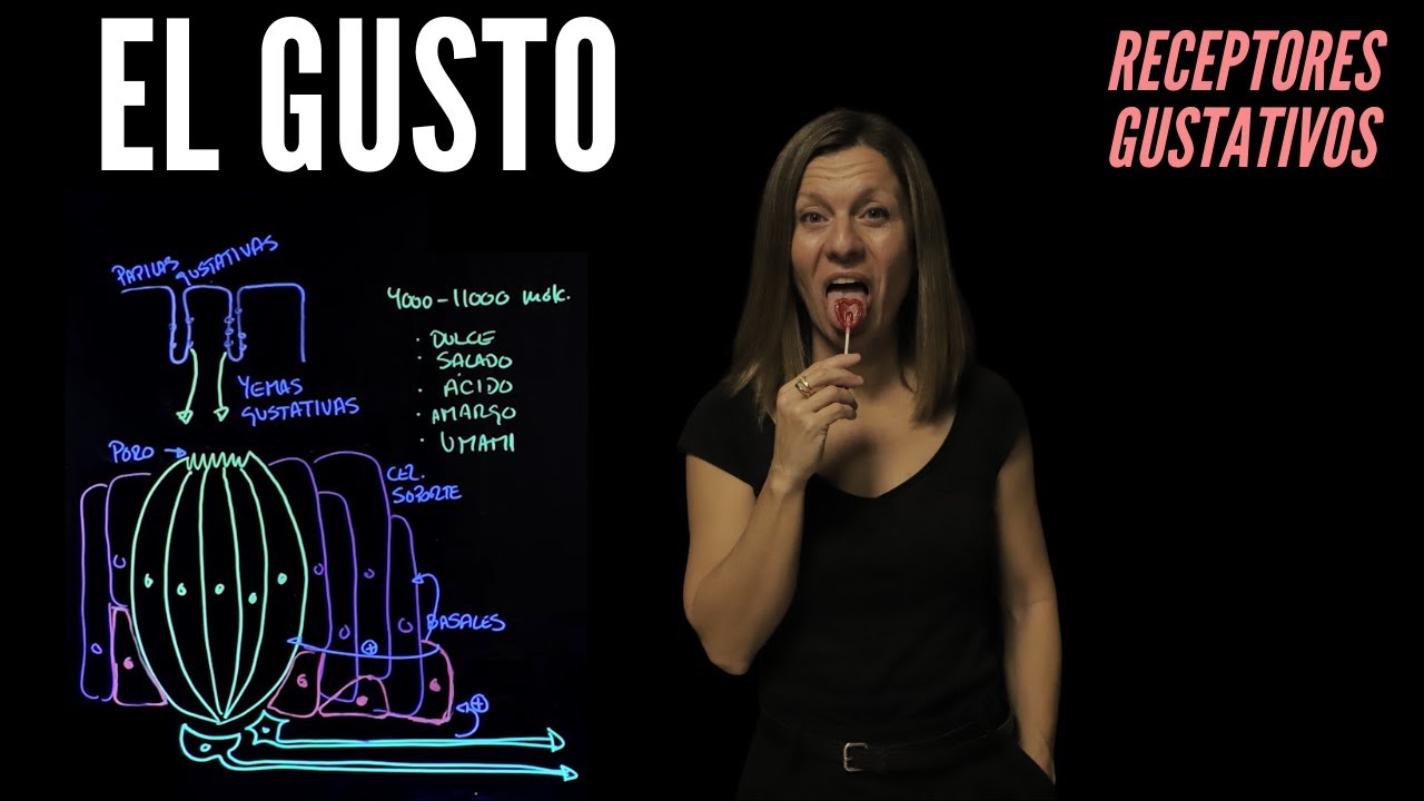 Fisiología del sentido del gusto
