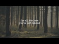 Call It Dreaming Iron Wine Lyrics