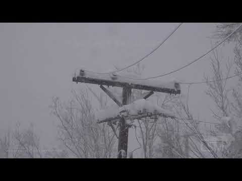 03-14-2021 Fort Collins,CO - Trees Down and Stuck Vehicles