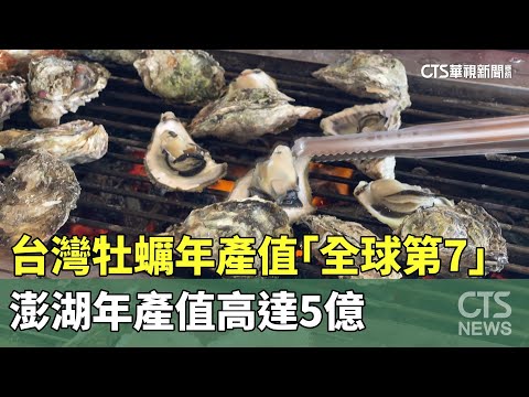 台灣牡蠣年產值「全球第7」　澎湖年產值高達5億