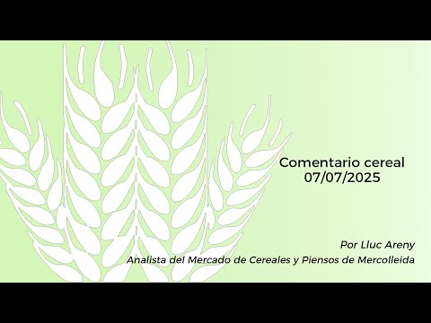 Comentari cereal - 07/07/2025