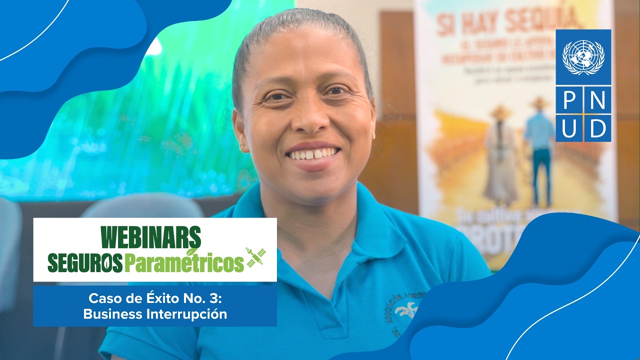 Webinar: Business interrupción