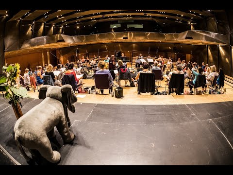 Cantus Insolitus - Music by Karl Jenkins