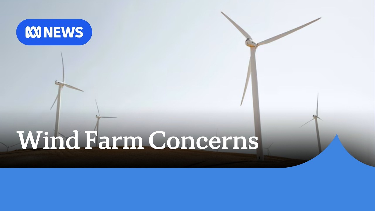 Locals worry link between minister and Tasmanian wind farm project could dilute advocacy | ABC NEWS