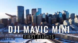 DJI Mavic Mini First Flights