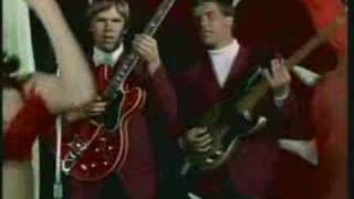 The Castaways-Liar, Liar. It&#39;s A Bikini World