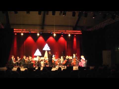 Wiktoria Szubelak (Concierto de Aranjuez - Adagio) - Joaquin Rodrigo