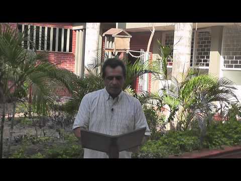 EVANGELIO 29 DE JULIO 2014