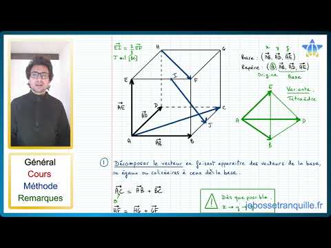 📝PDF | FICHE MÉTHODE | Décomposer un vecteur dans une base de l'espace