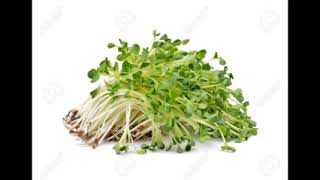 José María Gallardo, Rafael Riqueni - La Alfalfa