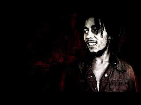 Zion Train Dub Plate