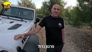 ״הכר את המדריך״ - נועם פרנט