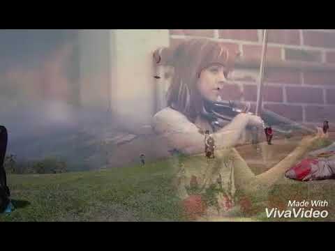 Lindo Clipe de vôo de parapente no Rio