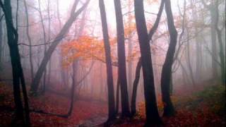 Claire Voyant -- Love the Giver (Low Mix)