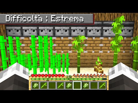 CREO UNA FARM DI BAMBOO E CANNE DA ZUCCHERO - Minecraft ITA