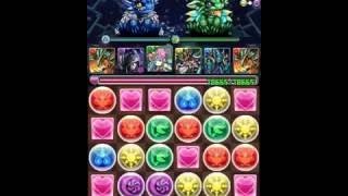 パズドラ「伝説の大地 天元の黒龍」炎隼神・ホルス16倍PTノーコン攻略