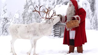 Mensagem do Papai Noel 🎅🦌🎄Pai Natal às crianças antes do Natal Lapônia Finlândia Santa Claus Village