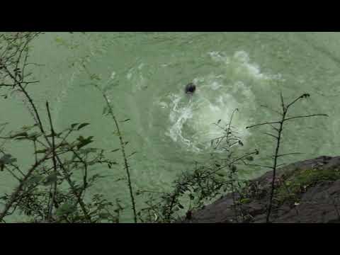 Insane *MELDON* cliff jumping | DiCo #1