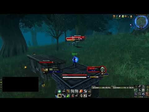 Level 1 Twink Hunter vs Lvl 30 - Eliza