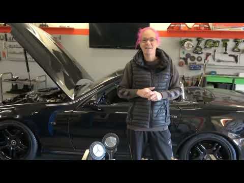 Will the SLK meeting Krefeld win the trophy for the largest club again this year?