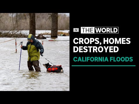 20年にわたる干ばつの後、カリフォルニアが大洪水と雪に見舞われる |世界