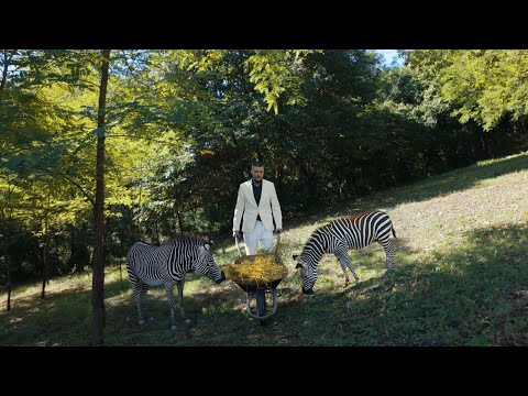 HRflow - Beházasodtam (Official Music Video)