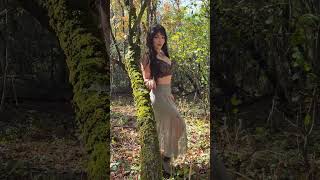 Forest faye ✨ 🌳