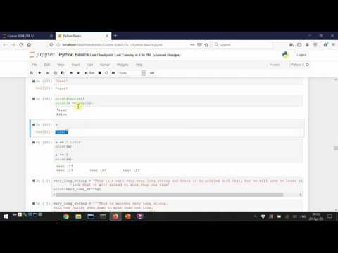 Quantitative Biological Research with Python - Lesson 1, TA 3/4 - Introduction & Basics